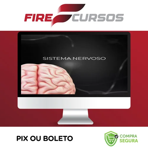 Fisiologia do Sistema Nervoso - Fisiologia Didática